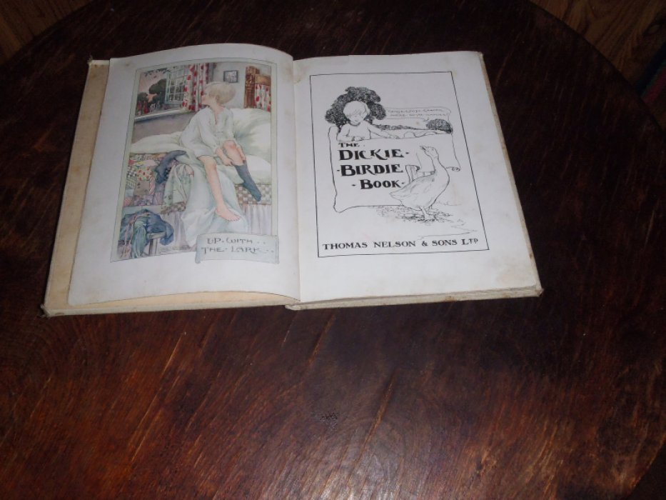 Anderson Anne. The Dickie-Birdie book/ (Книга Дики-Берди).