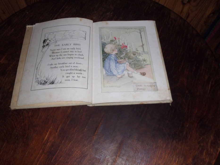 Anderson Anne. The Dickie-Birdie book/ (Книга Дики-Берди).