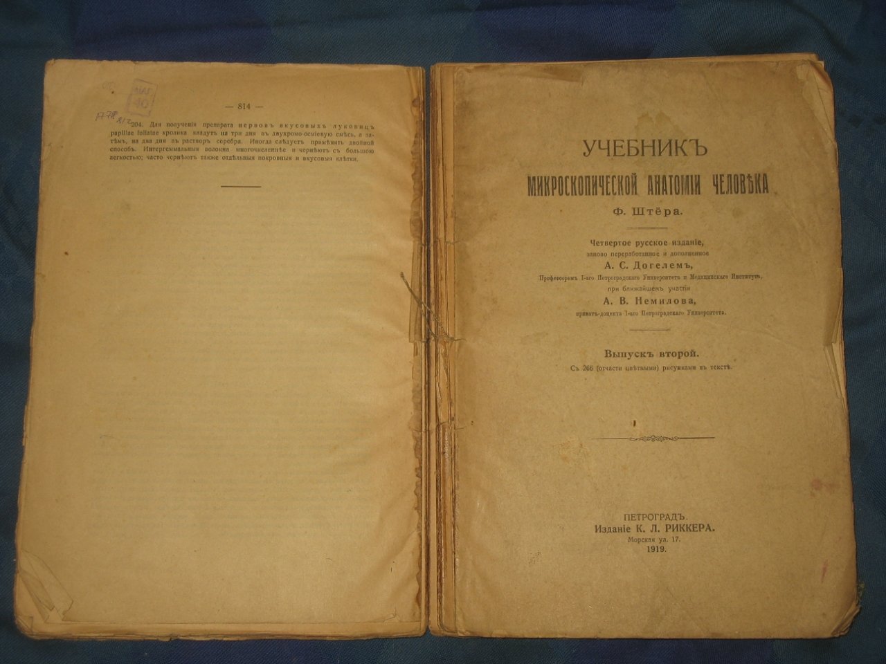 Учебник микроскопической анатомии человека Ф. Штера в 2 выпусках. Выпуск 2.