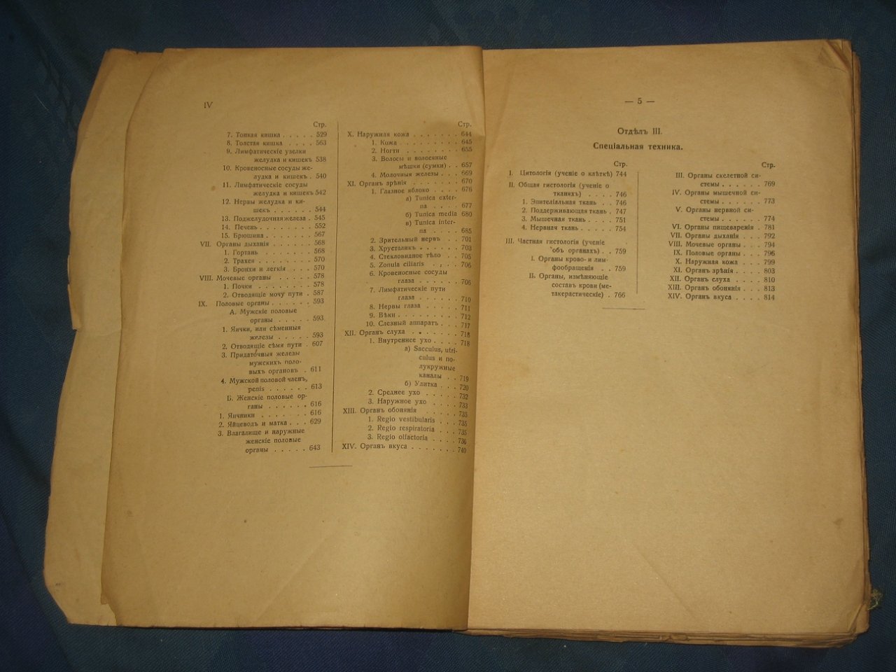 Учебник микроскопической анатомии человека Ф. Штера в 2 выпусках. Выпуск 2.