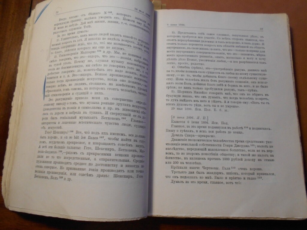 Дневник Льва Николаевича Толстого. Том 1. 1895-1899г.