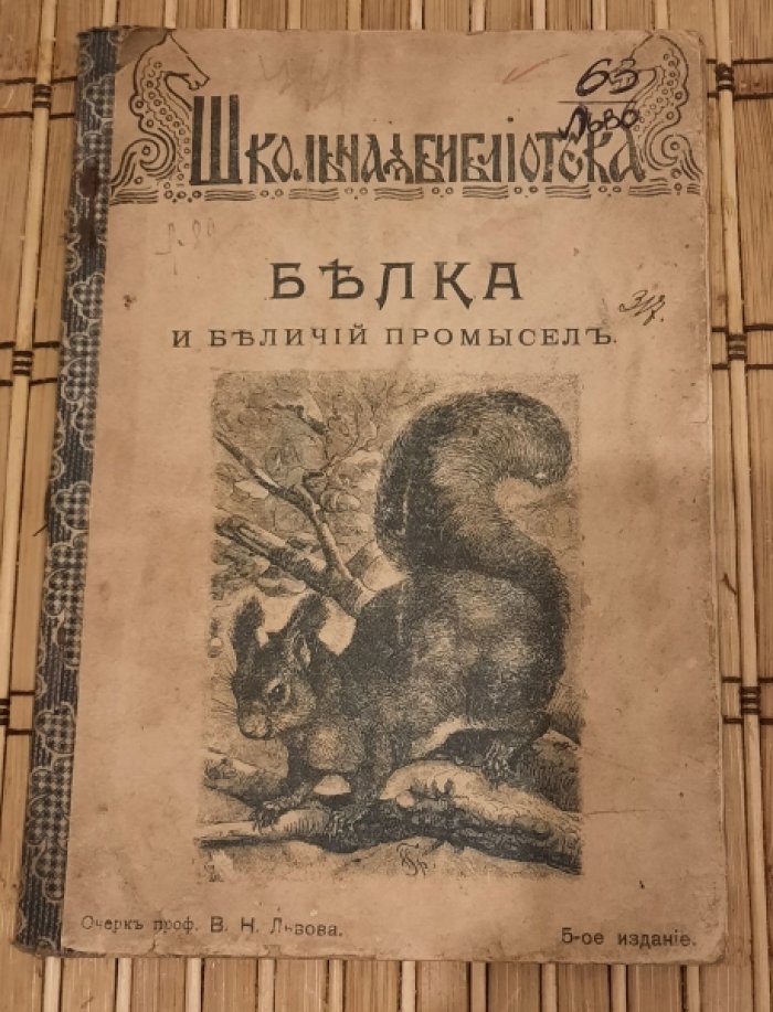 Львов В.Н. Белка и беличий промысел.