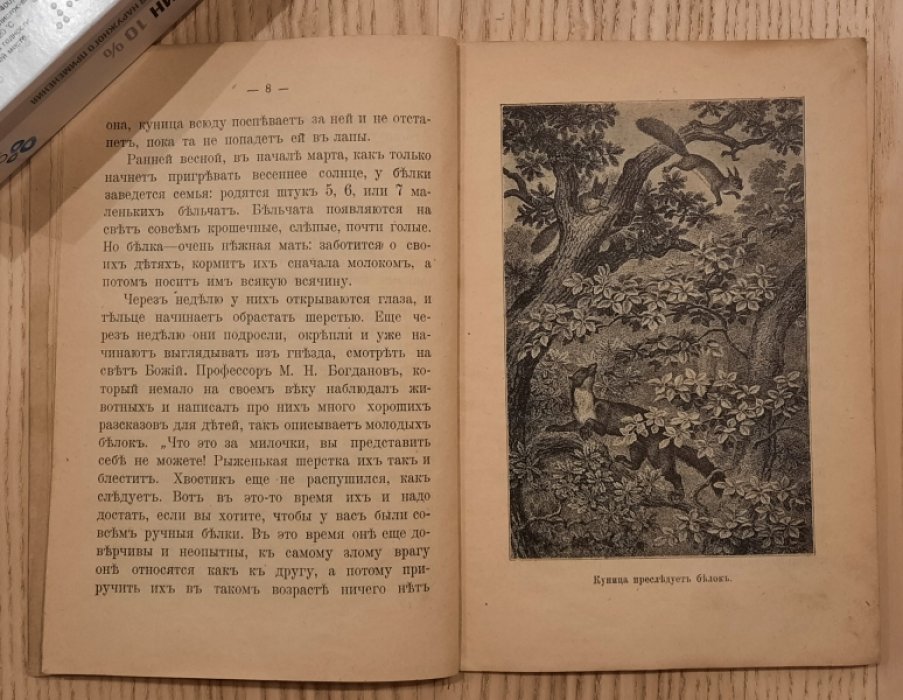 Львов В.Н. Белка и беличий промысел.