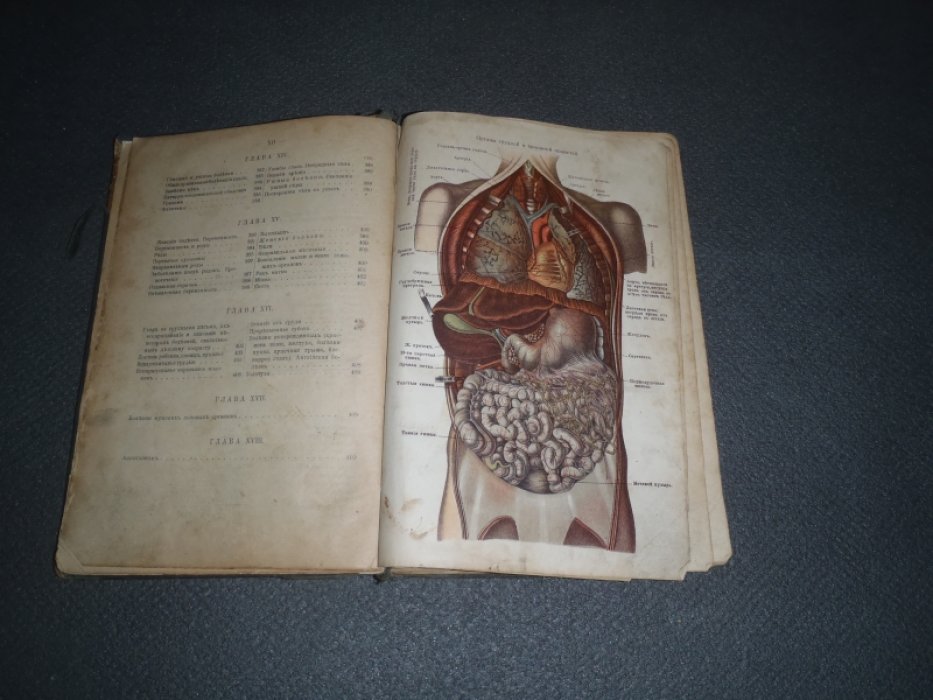 Полный домашний лечебник.