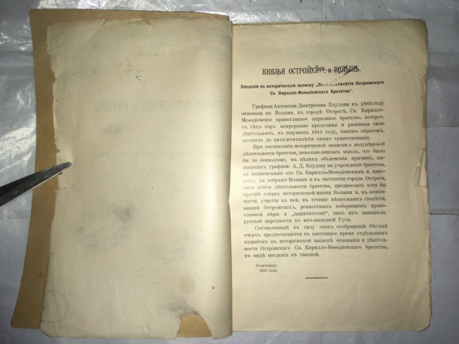 Быков Н.П. Князья Острожские и Волынь.