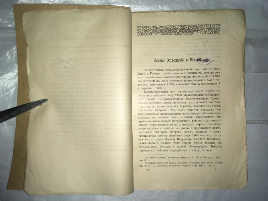 Быков Н.П. Князья Острожские и Волынь.
