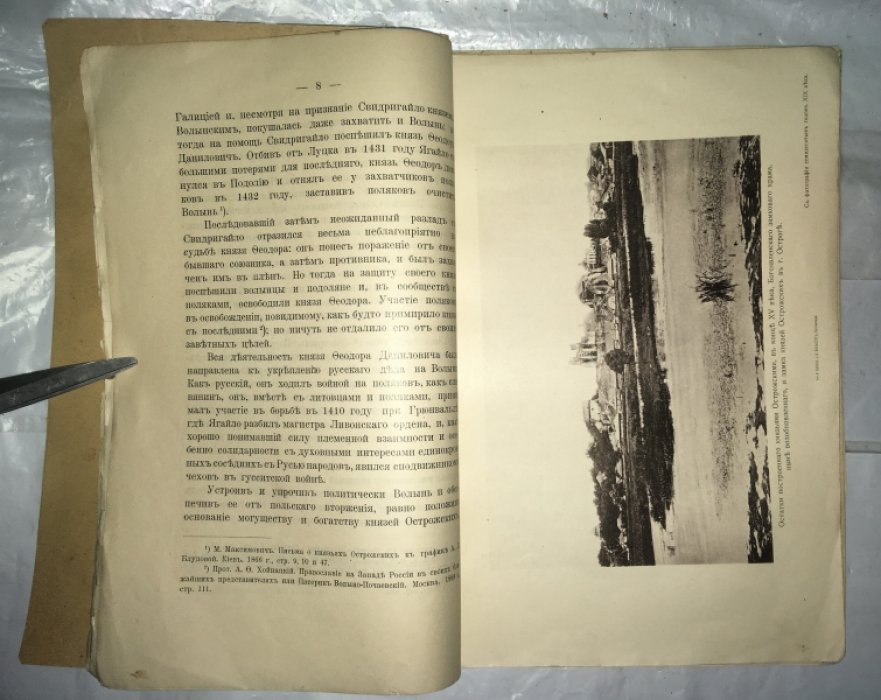 Быков Н.П. Князья Острожские и Волынь.