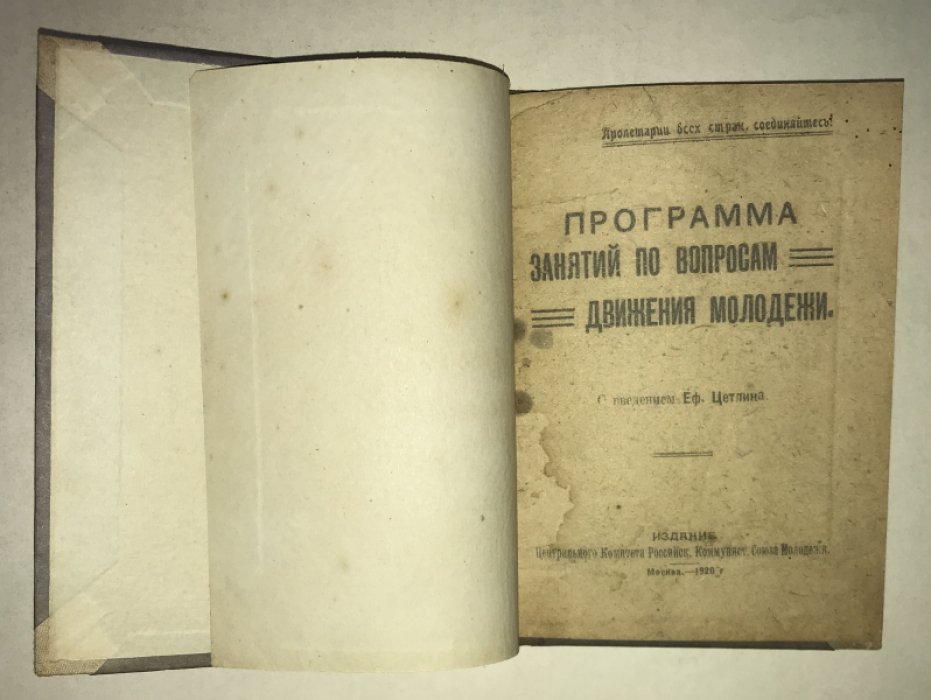 Программа занятий по вопросам движения молодежи / С введ. Еф. Цетлина.