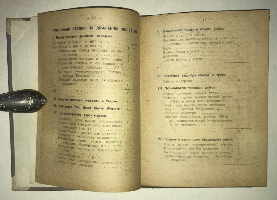 Программа занятий по вопросам движения молодежи / С введ. Еф. Цетлина.