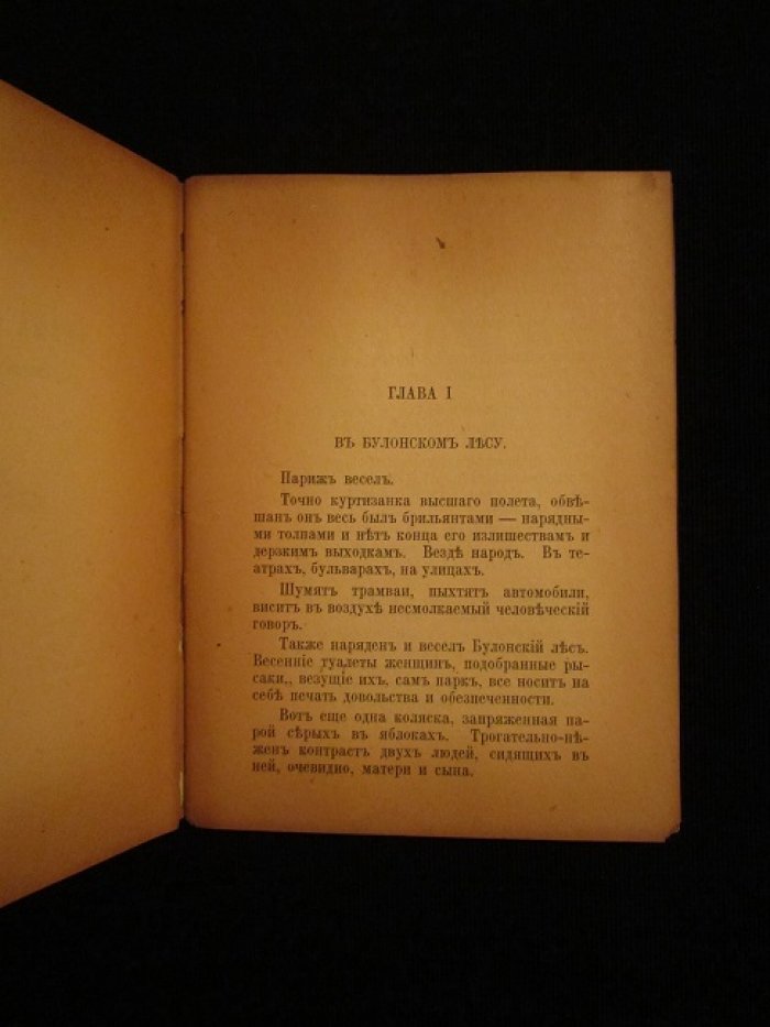 Драма в воздухе (на французском фронте).