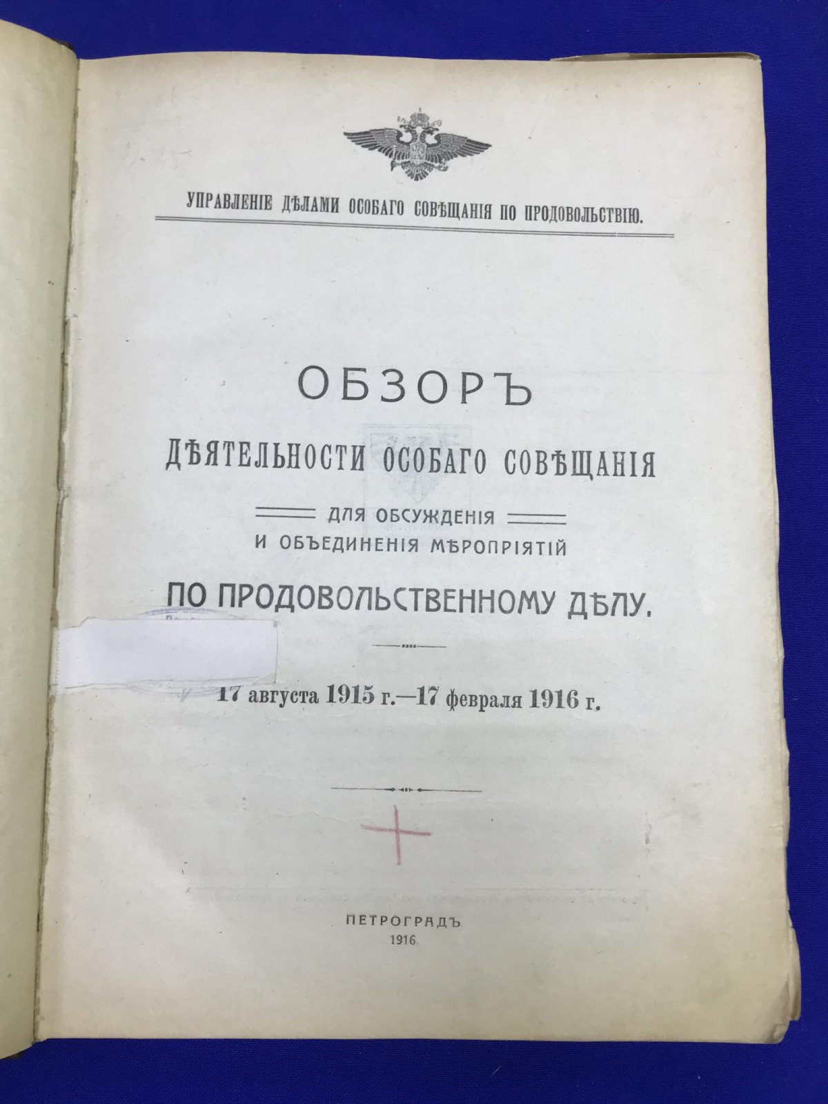 Обзор деятельности особого совещания для обсуждения и объединения мероприятий по продовольственному делу. 17 августа 1915 г.-17 февраля 1916 г.