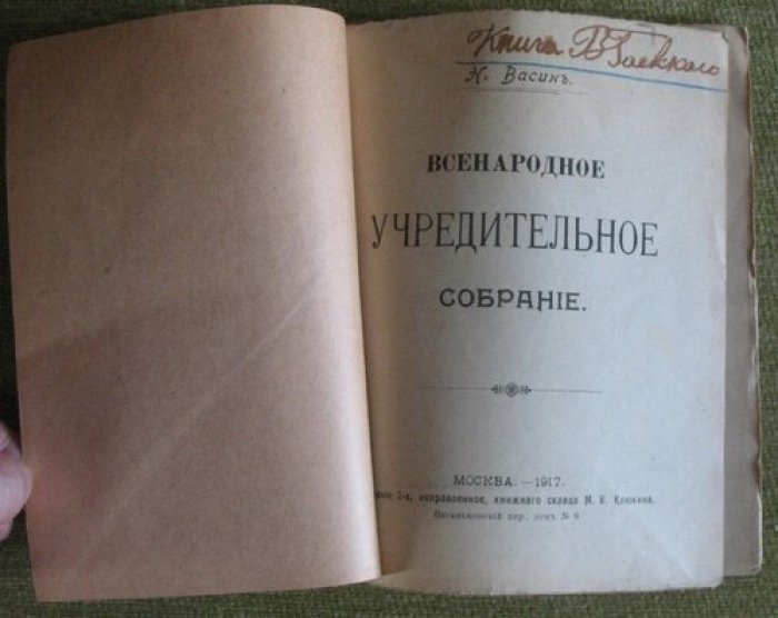 Васин Н. Всенародное учредительное собрание.