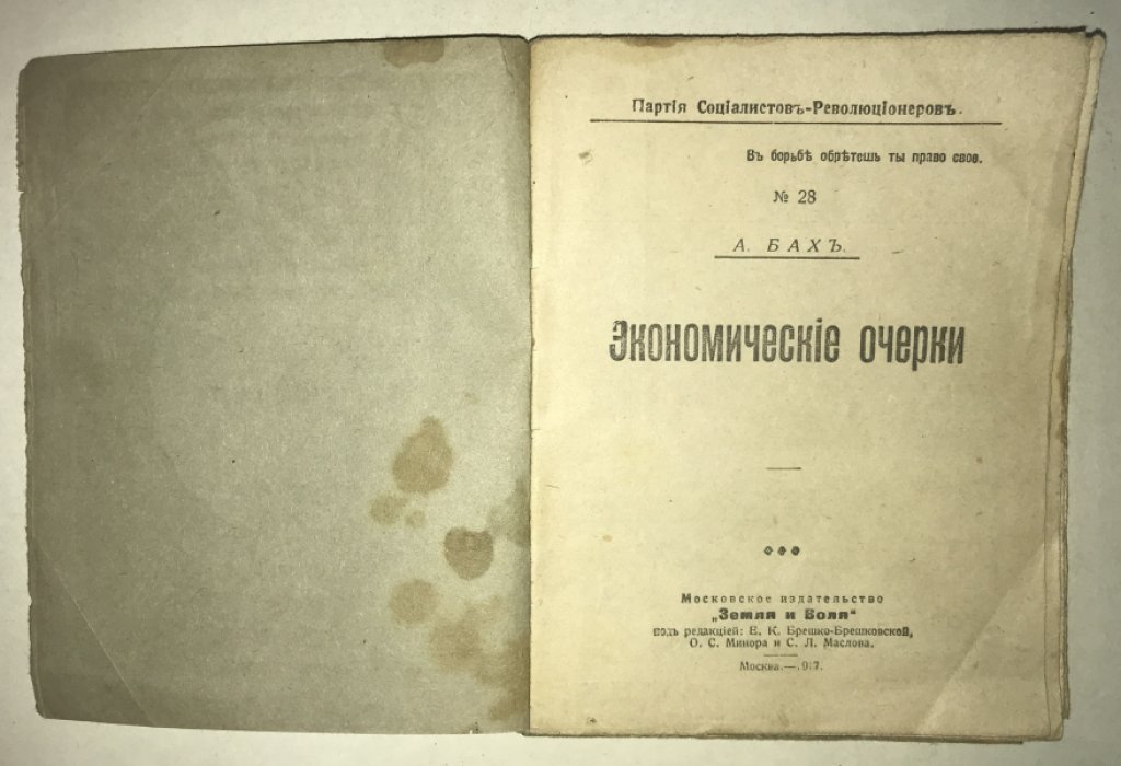 Бах А. Н. Экономические очерки.