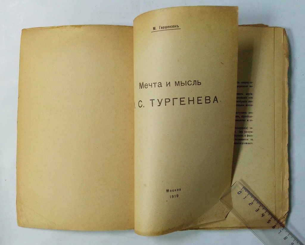Гершензон М. Мечта и мысль И.С.Тургенева.