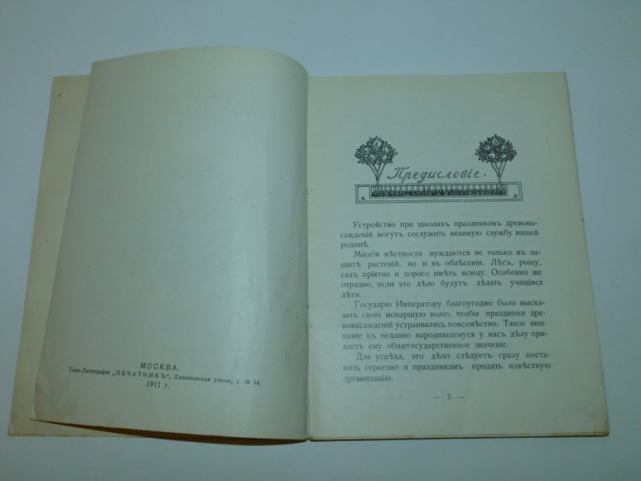 Праздник древонасаждений.