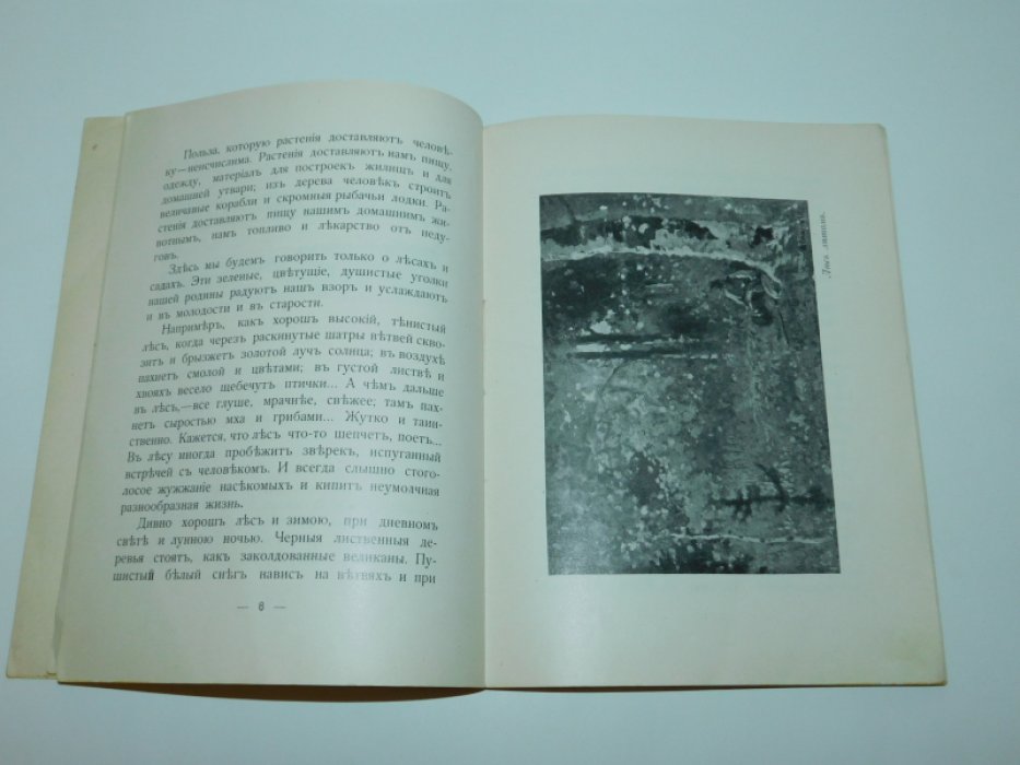 Праздник древонасаждений.