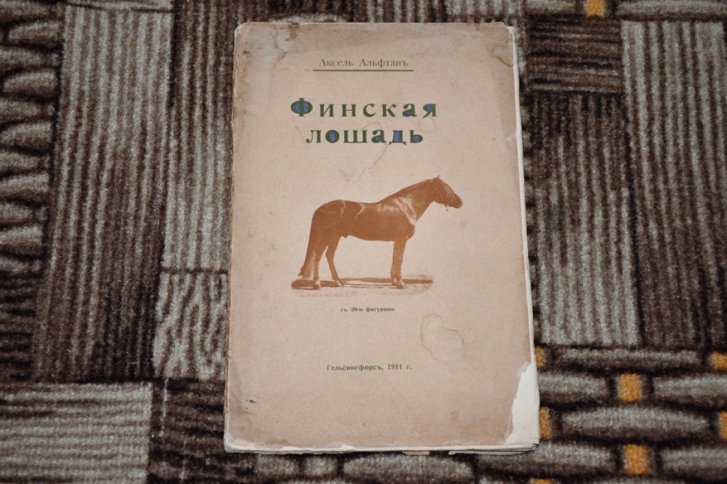 Альфтан Аксель. Финская лошадь.