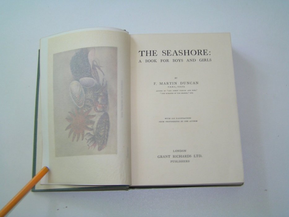 F. Martin Duncan. The Sea Shore. A Book for Boys & Girls.