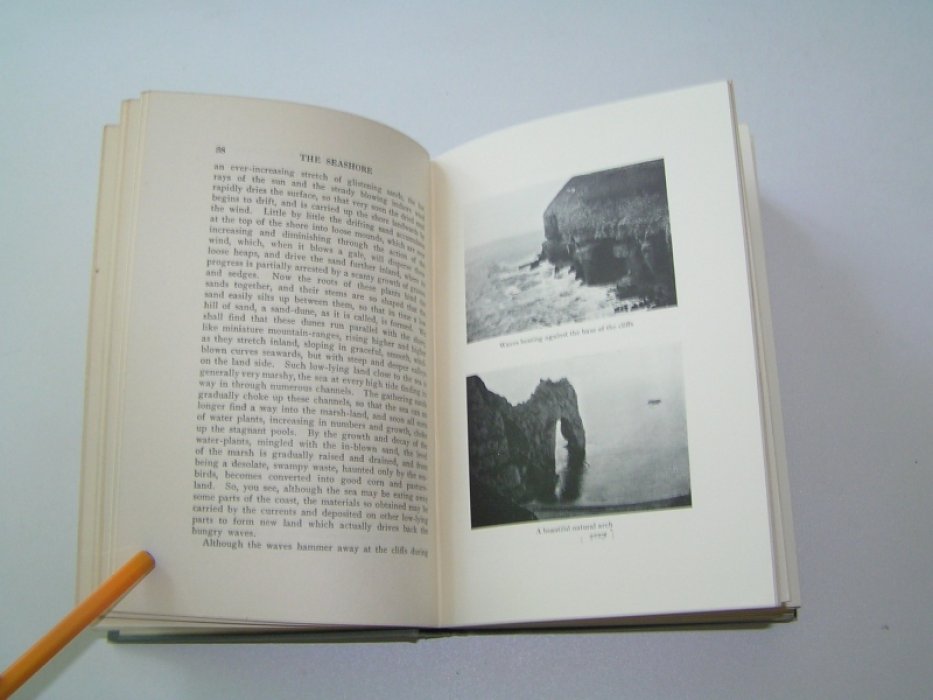 F. Martin Duncan. The Sea Shore. A Book for Boys & Girls.