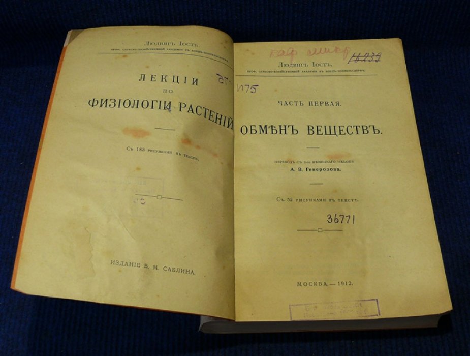 Иост Людвиг. Лекции по физиологии растений. Часть первая. Обмен веществ.