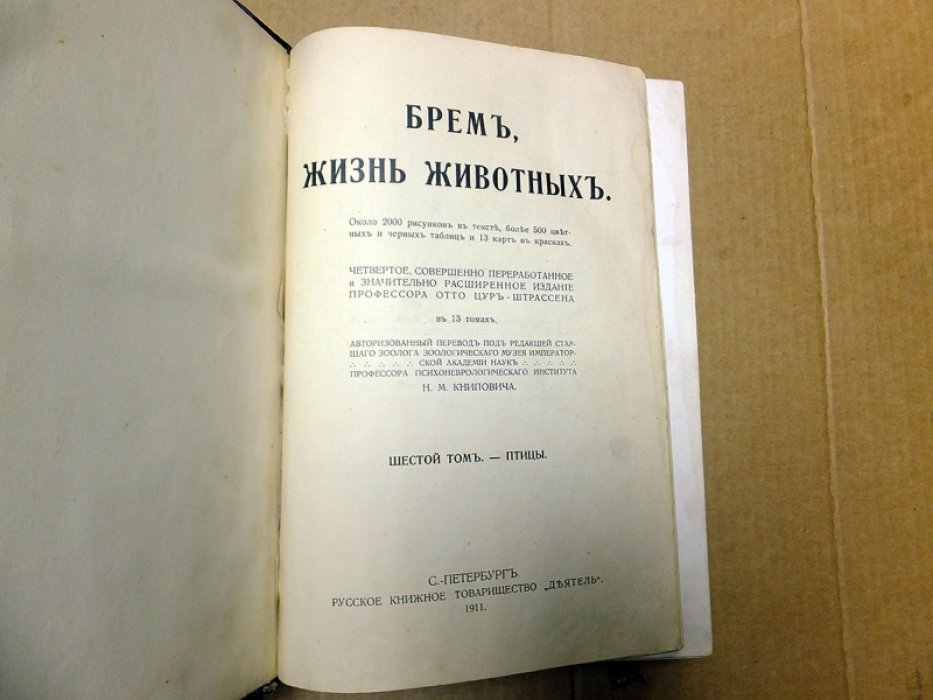 Брэм А. Жизнь животных. Том 6. Птицы.