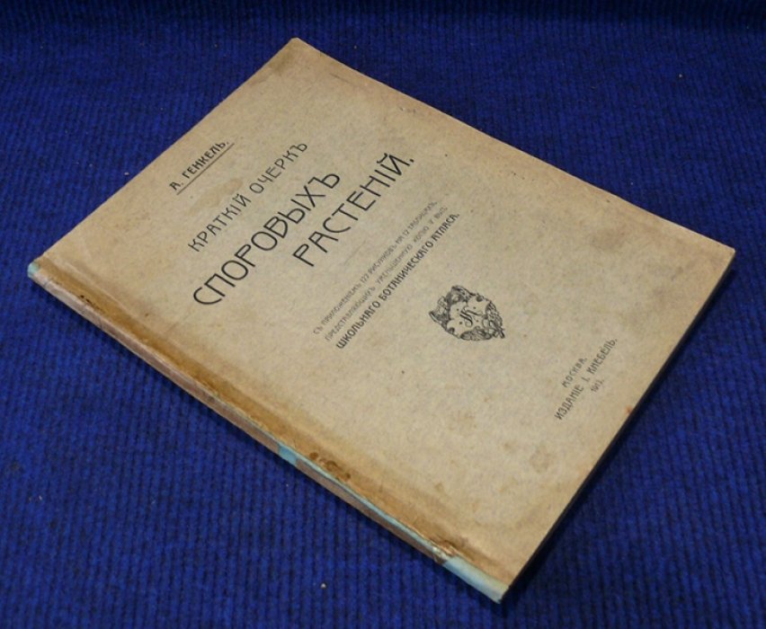 Генкель А. Краткий очерк споровых растений.