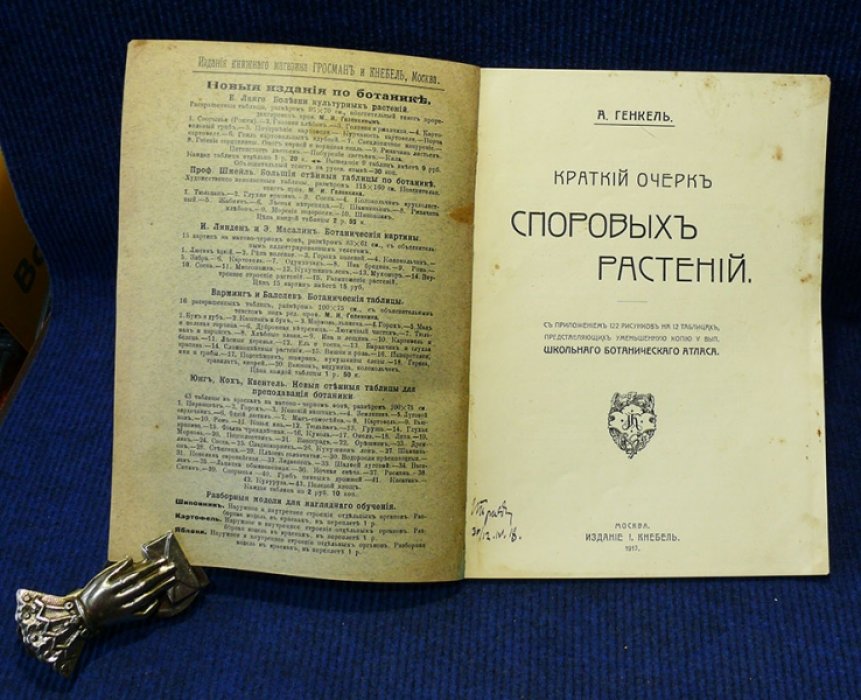 Генкель А. Краткий очерк споровых растений.