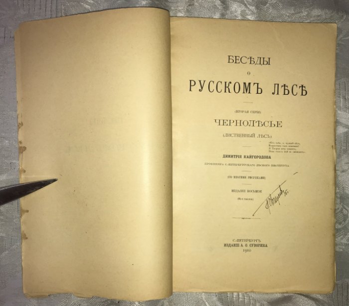 Кайгородов Д. Беседы о русском лесе. Чернолесье (лиственный лес).
