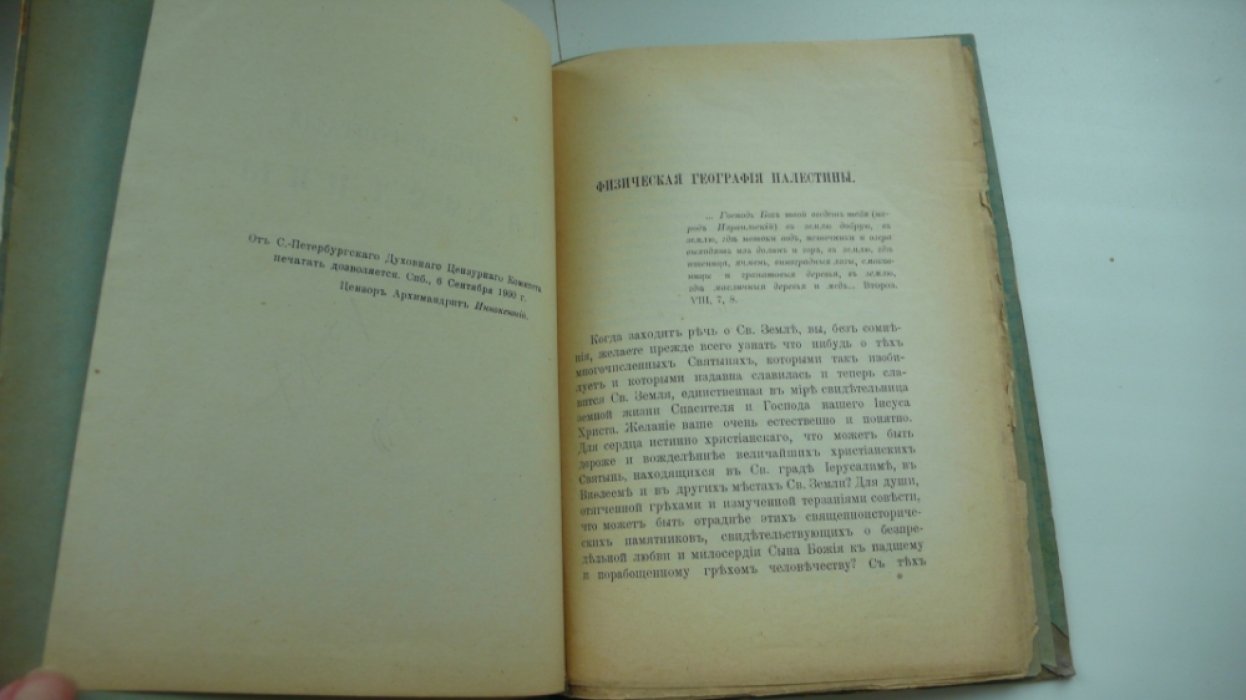 Викторовский И.В. Физическая география Палестины.