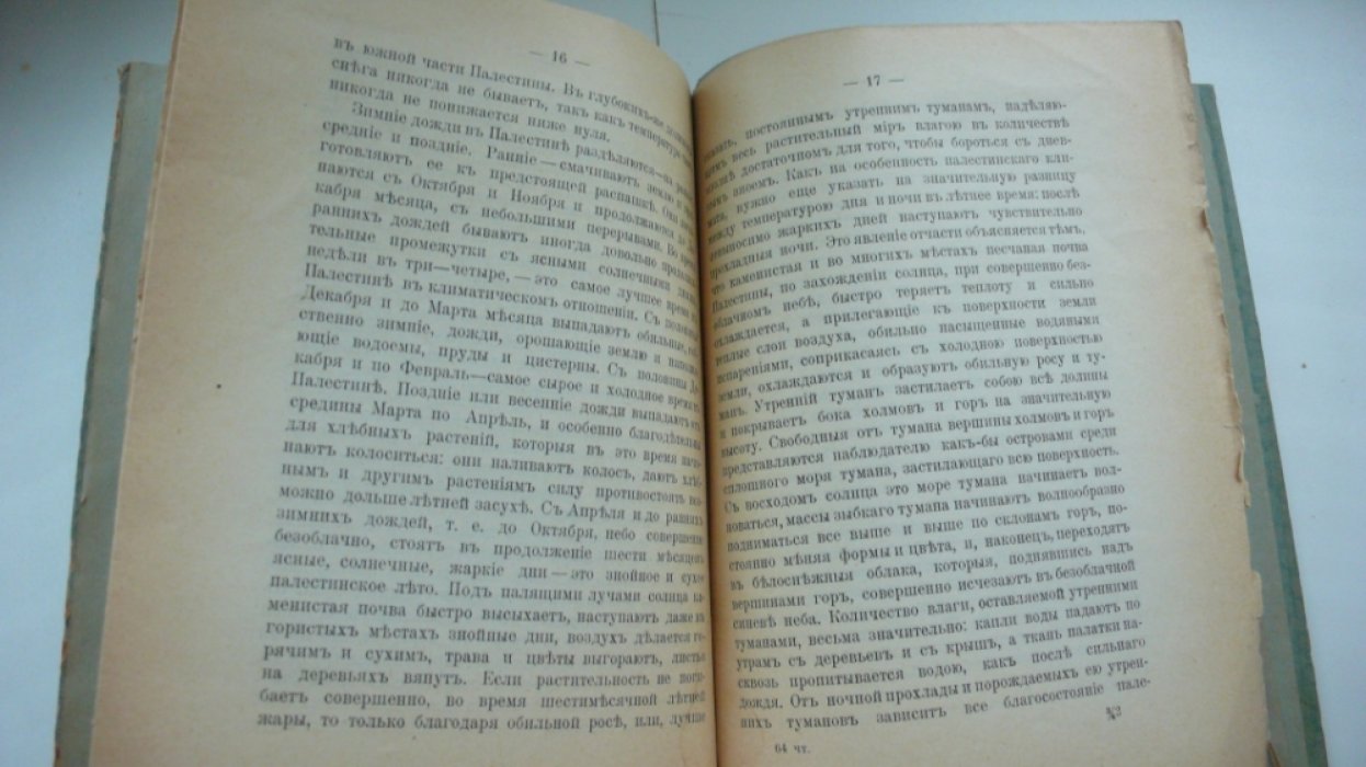 Викторовский И.В. Физическая география Палестины.