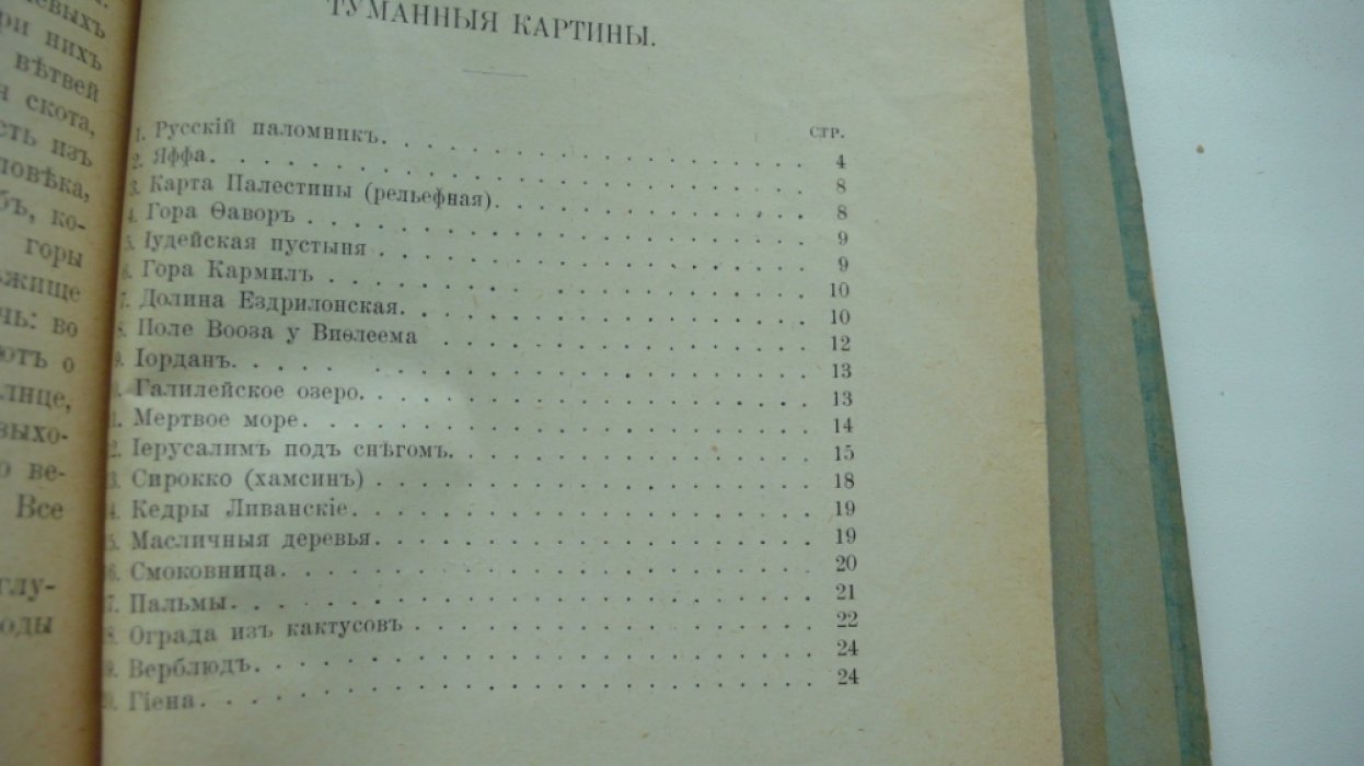 Викторовский И.В. Физическая география Палестины.