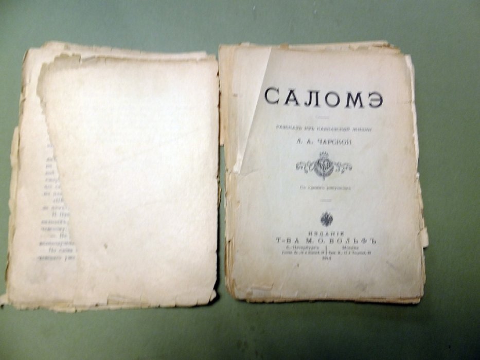 Чарская Л.А. Рассказы из книги `Жизнь идет!`: Нуся, Саломэ, Феничка, Пашенька, Женя, Босоножка Нинон.