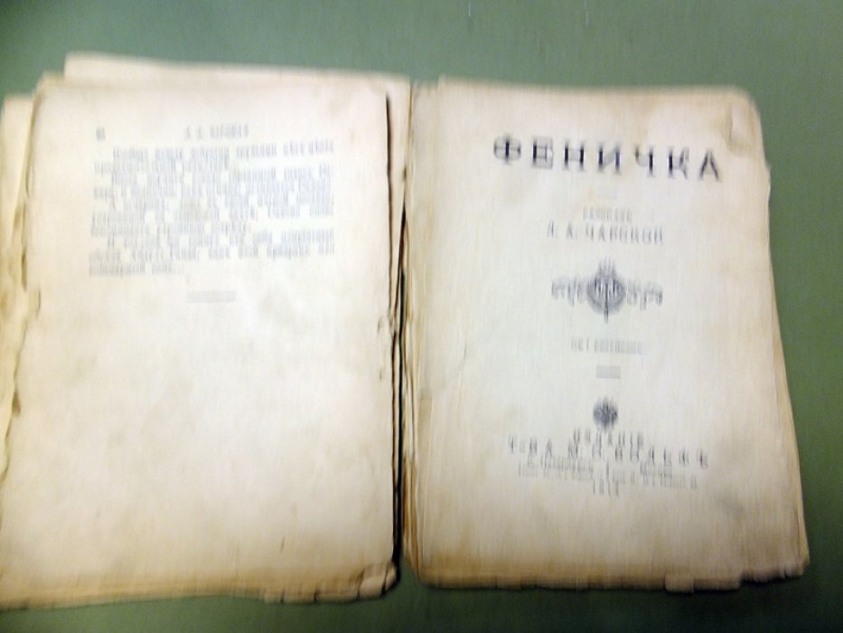 Чарская Л.А. Рассказы из книги `Жизнь идет!`: Нуся, Саломэ, Феничка, Пашенька, Женя, Босоножка Нинон.