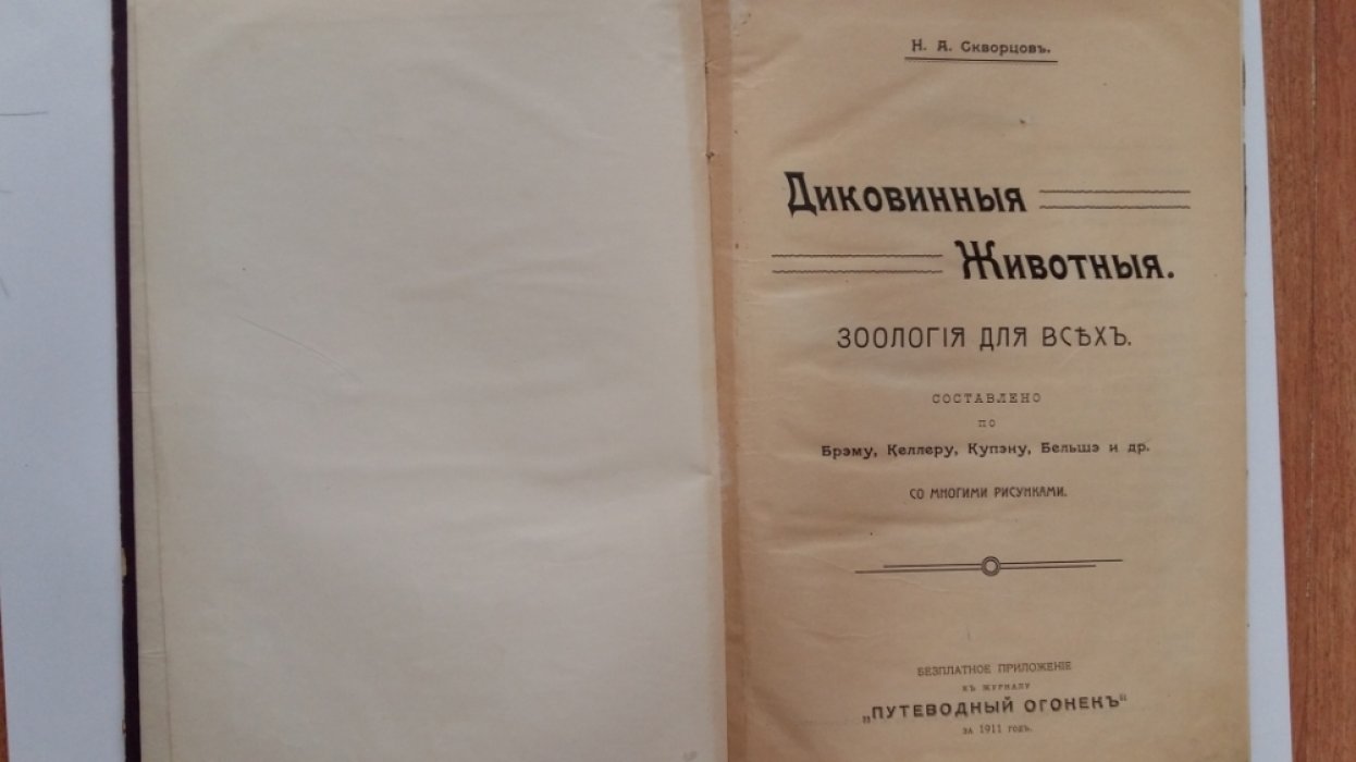 Скворцов, Н.А. Диковинные животные.