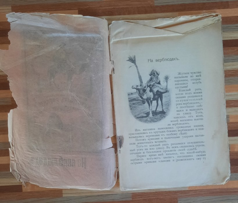 Чеглок А. На верблюдах. Рассказы из жизни животных Африки.