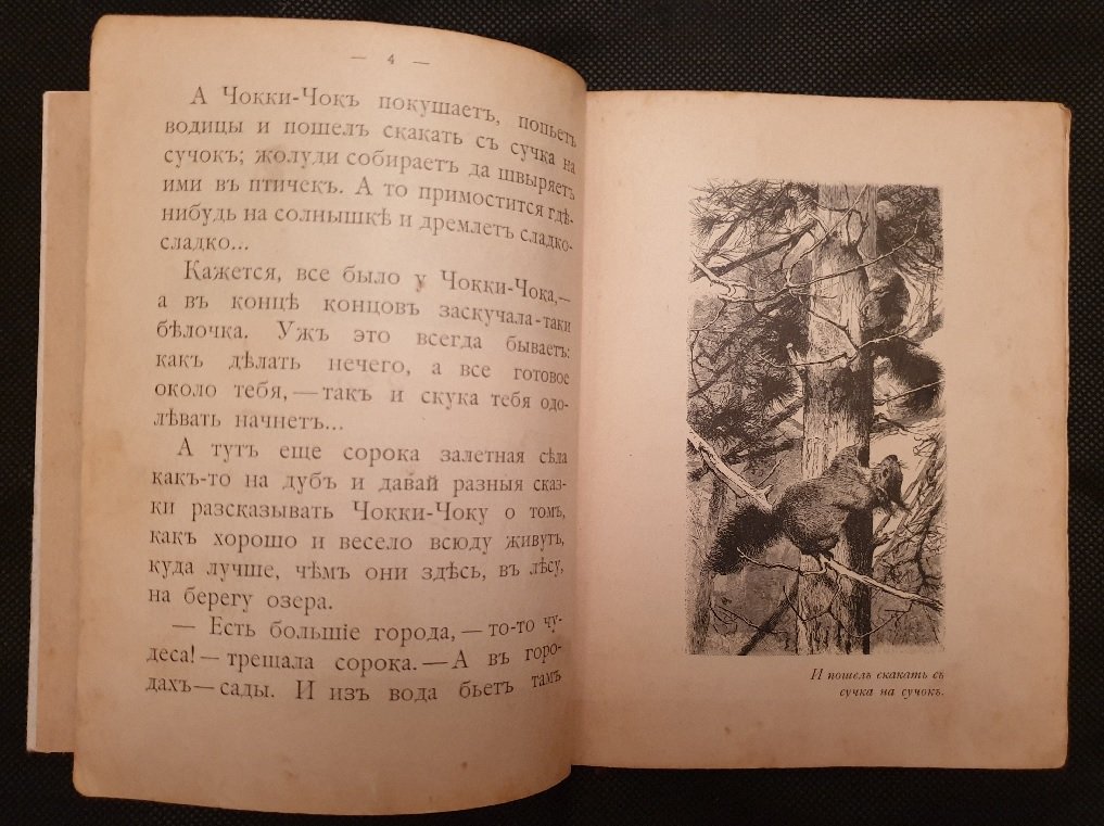 Федоров-Давыдов А.А. Приключения Белочки Чокки-Чок.