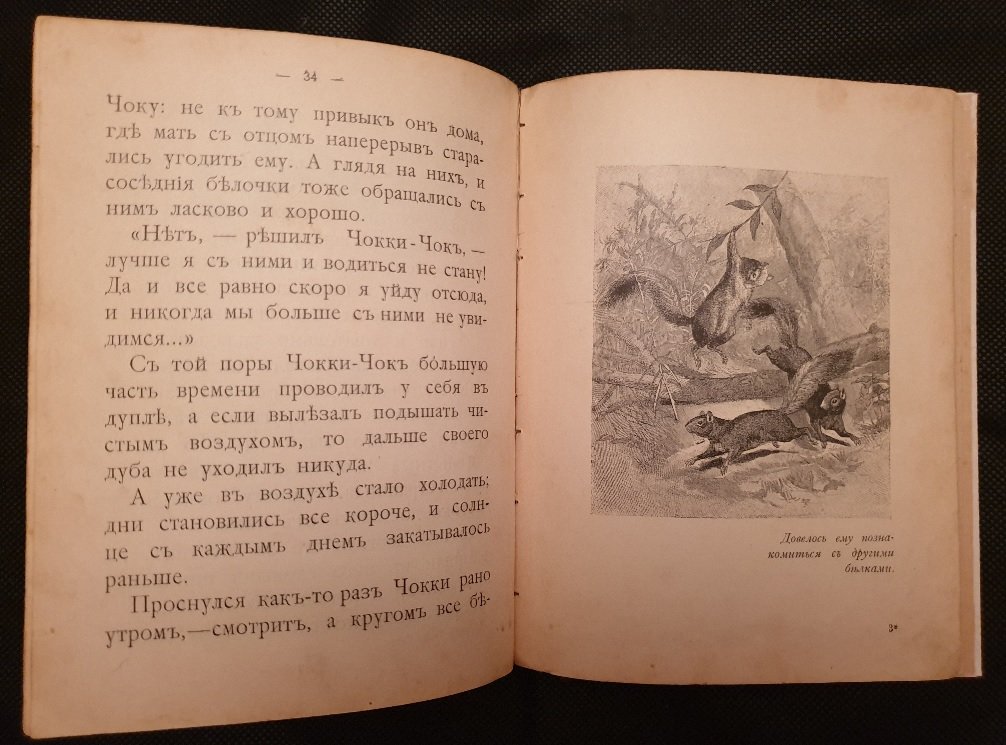 Федоров-Давыдов А.А. Приключения Белочки Чокки-Чок.