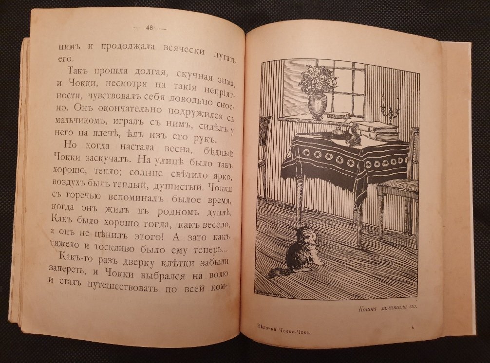 Федоров-Давыдов А.А. Приключения Белочки Чокки-Чок.