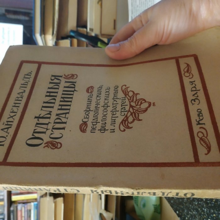 Юлий Айхенвальд. Отдельные страницы. I.