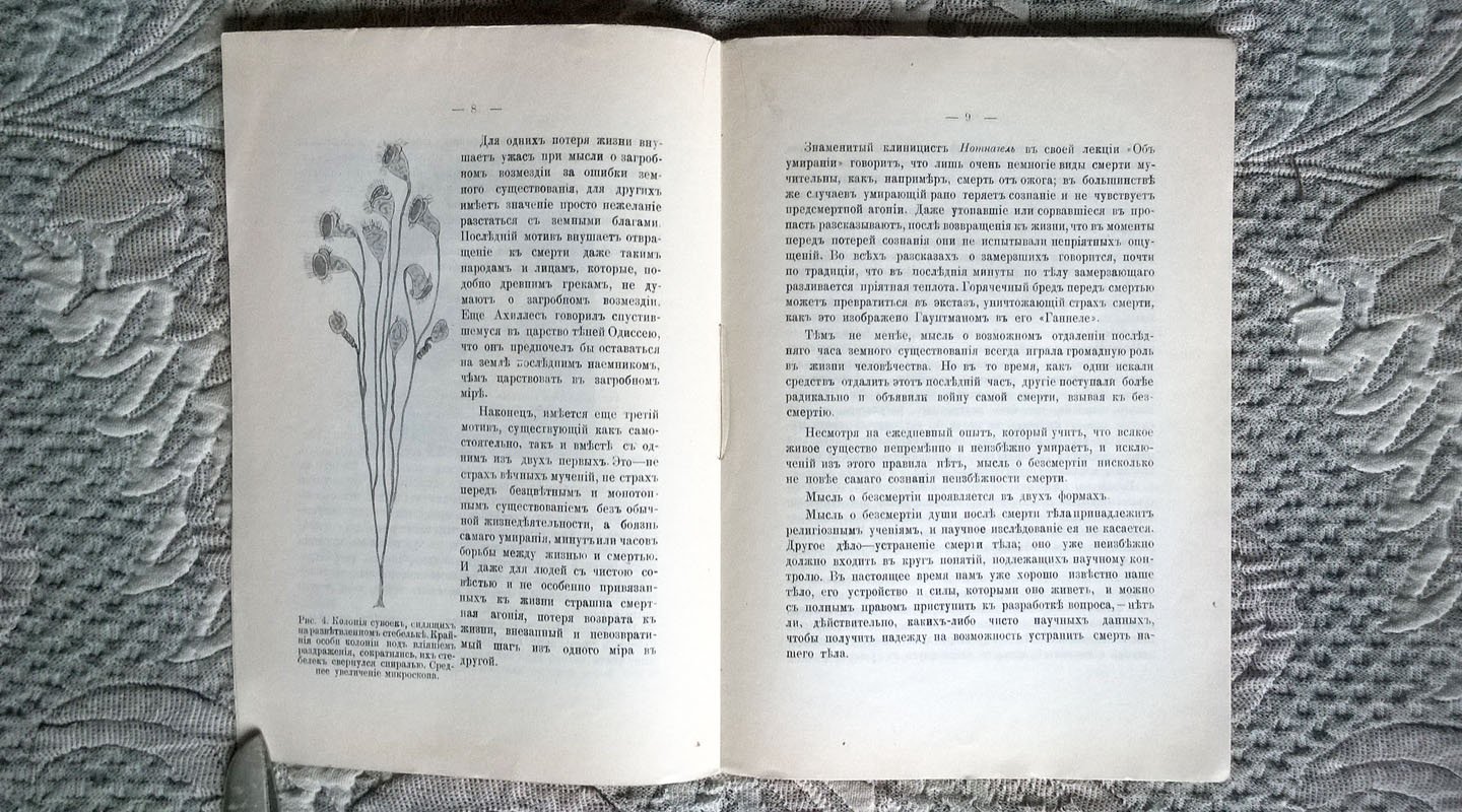 Третьяков Д.К. (профессор Новороссийского университета). Бессмертие и долголетие.