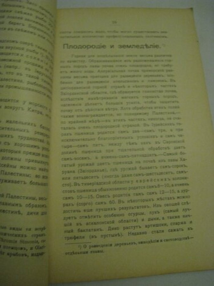 Тритч Девис. Руководство по изучению современной Палестины Девиса Тритча.