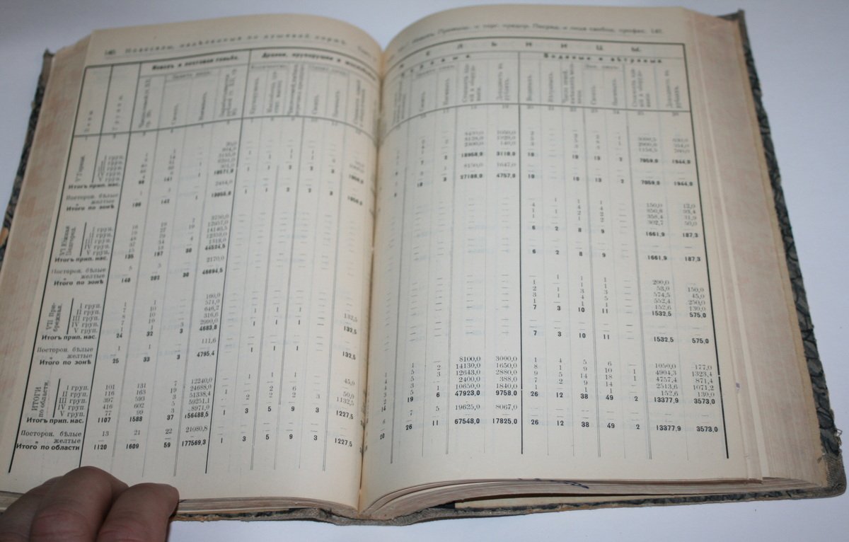 Материалы по исследованию крестьянских хозяйств Приморской области. Том 5. Новоселы наделенные по душевой норме. (таблицы и текст).
