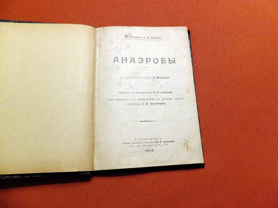 Jungano M., Distaso A. Анаэробы.
