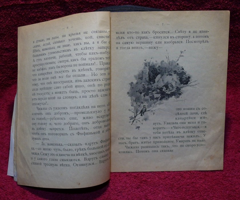 Федоров -Давыдов  А.А. Приключения Чижика.