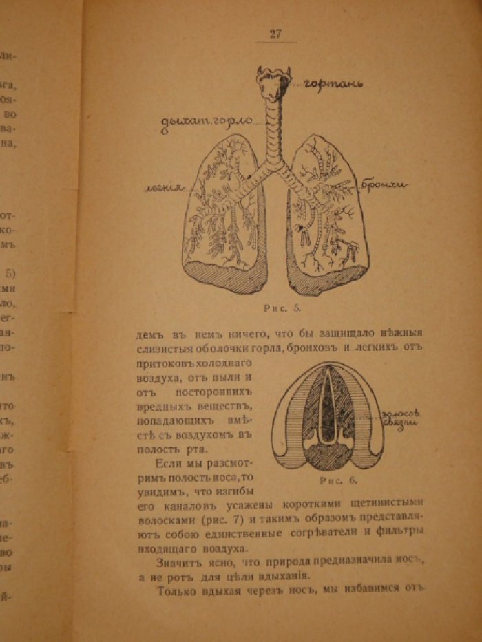 Составила О.Лобанова. Дышите правильно! Учение индийских йогов о дыхании измененное западом. Американская метода Кофлера.