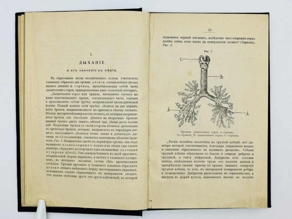 Карелин В.Л. Новая теория постановки голоса. С добавлением практического применения теории ко всем видам голосов мужских и женских