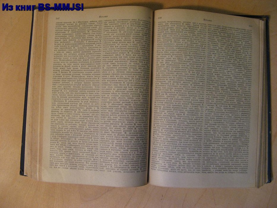 Брокгауз, Ефрон. Новый энциклопедический словарь. Том 27. (Молочница – Наручи).