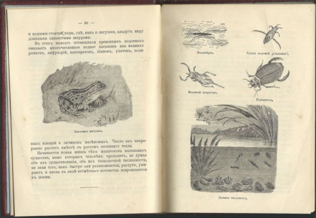 Покровский С.В. Календарь природы. Весна. II.