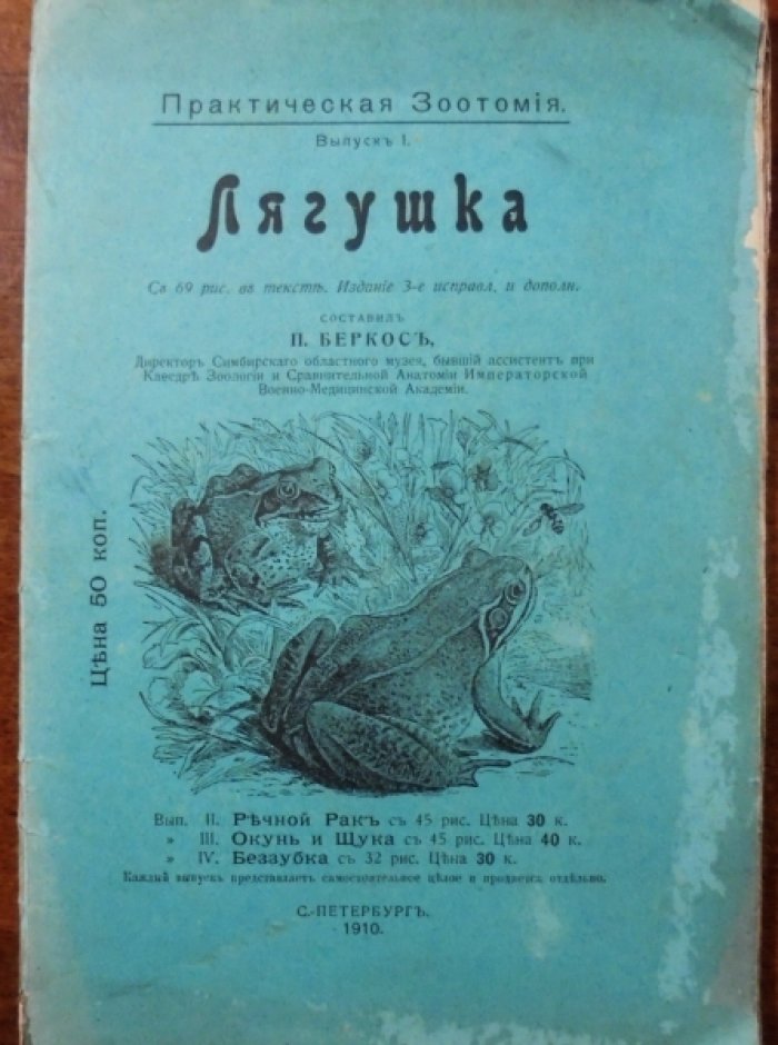 Лягушка. Практическая зоотомия.