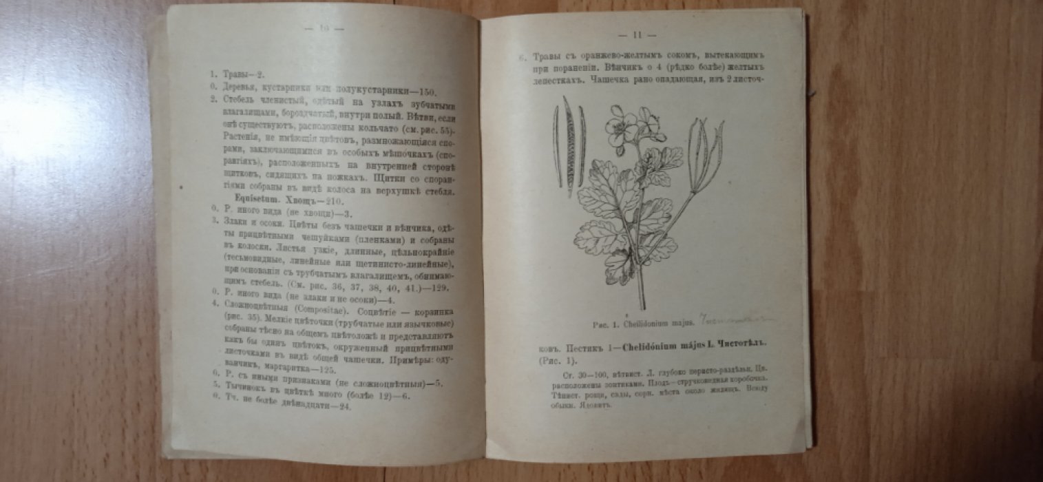 Маевский П. Весенняя флора Средней России. Таблицы для определения растений, цветущих в марте, апреле и начале мая.